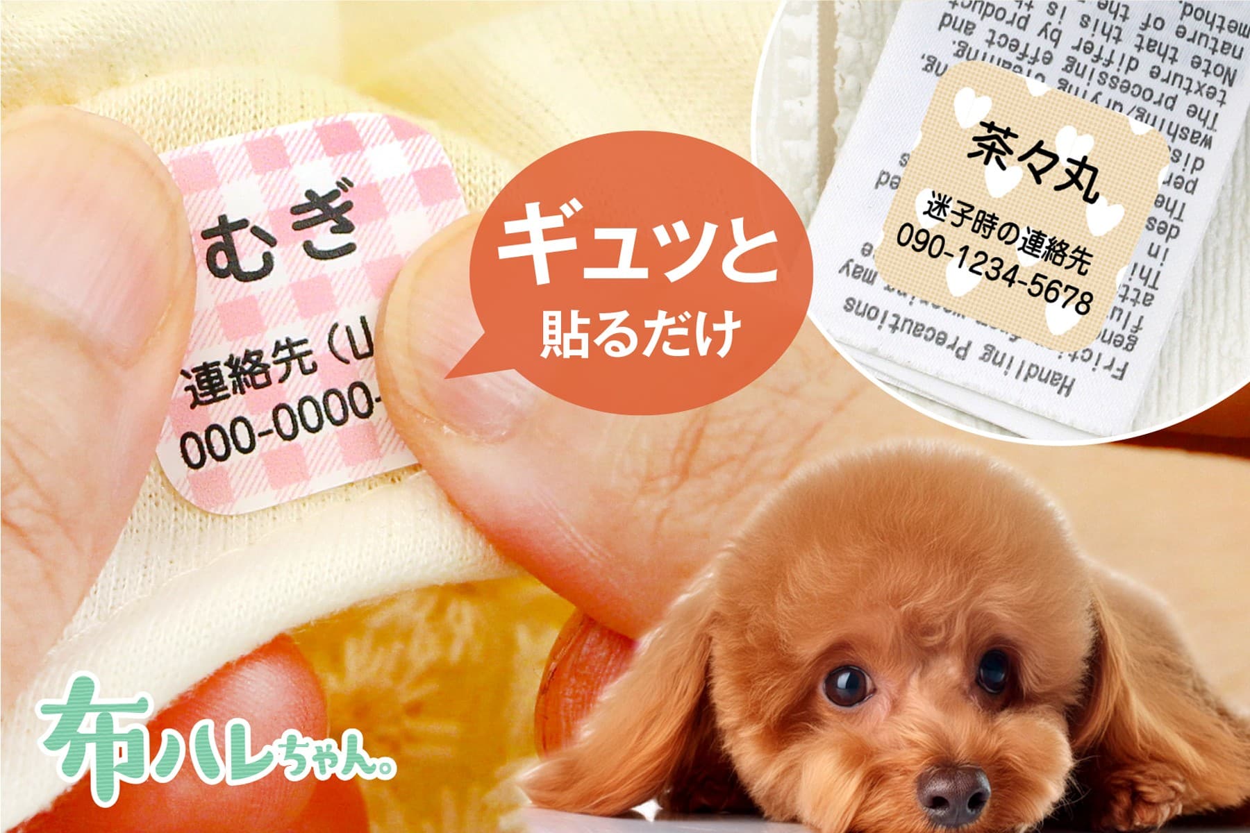 新感覚のペット迷子札「わんにゃん迷子シール」愛犬や愛猫のお洋服にギュッと貼るだけ5秒で完了!