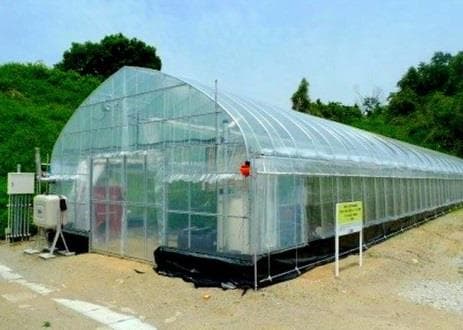 「なら近大農法」で栽培したバンビーナを初出荷 奈良県との連携事業「農の入口」モデル事業の一環として