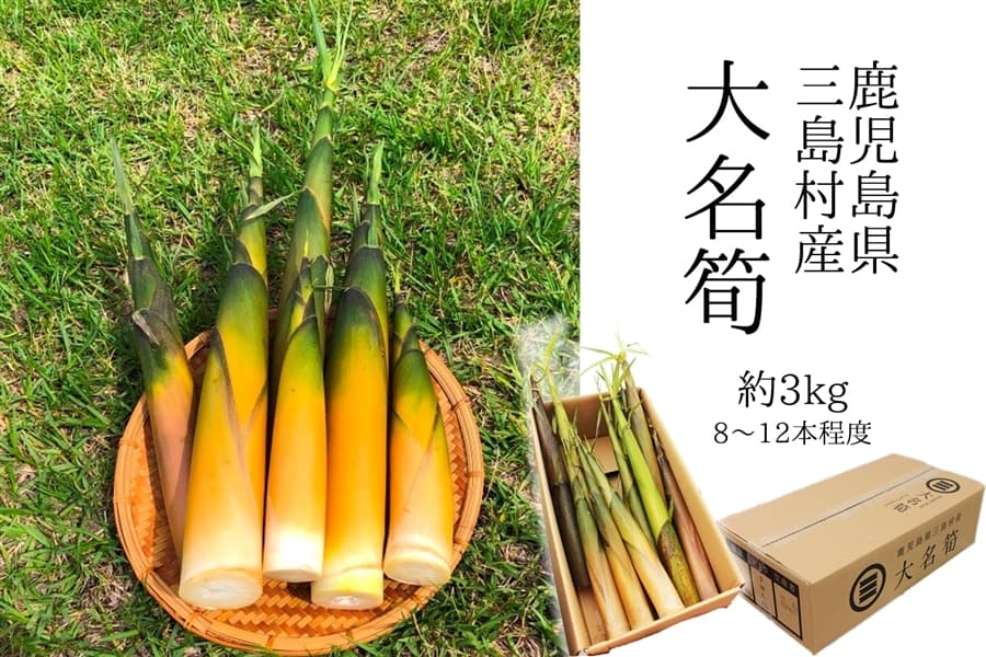 鹿児島の名産品“鹿児島県三島村産 大名筍” 「JAタウン」のショップ「クミショクファーム」で、販売中!