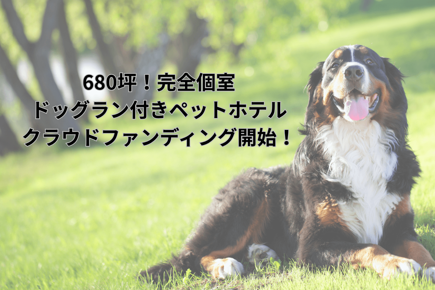 敷地面積680坪!完全個室ペットホテル&トレーニング施設を建設。広大な土地を囲う柵代と外構費を募集するクラウドファンディングを開始。