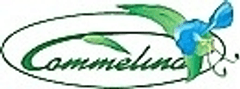 COMMELINA INTERNATIONAL株式会社