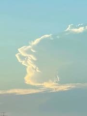 株式会社満天社