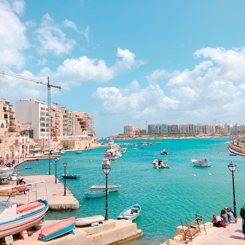 「マルタ共和国 Japan Expo 」開催に向けた
特別説明会を議員会館にて開催