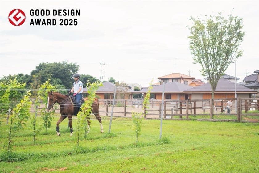 国立大学法人筑波技術大学の准教授がディレクションを務める
「ブリコラージュ」が「2025年度グッドデザイン賞」を受賞