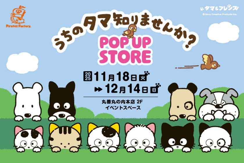 11月18日(火)より期間限定!
「タマ&フレンズ POP UP STORE」が丸善丸の内本店で開催!
ーサンリオキャラクターズとのコラボグッズも!ー