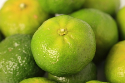 00RWeSkQhSmiMkZ1pqg4.jpeg?w=940&h=940