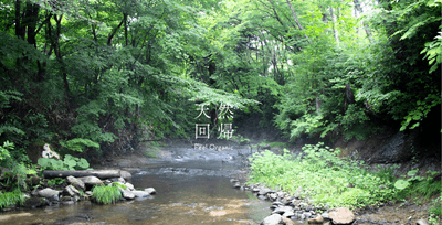 00Ze2p1XL3fFDwhvkwod.png?w=940&h=940