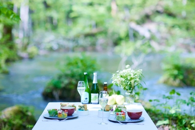 00gKjSgE9K8Aa0pQvT7h.jpg?w=940&h=940