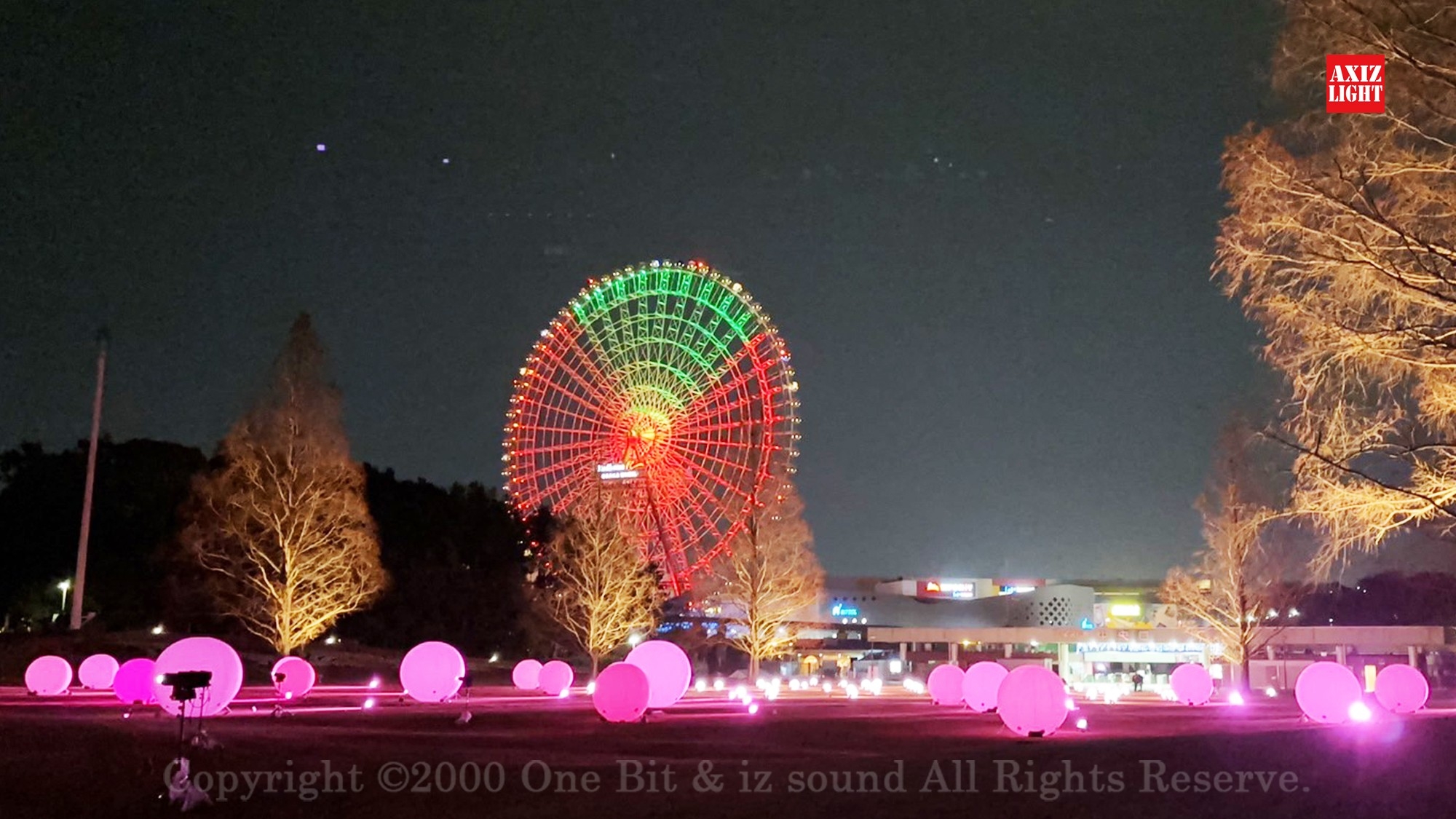 今春、忘れられない夜桜美!圧巻の5500本の桜が光りを纏う! 万博記念 今春、忘れられない夜桜美!圧巻の5500本の桜が光りを纏う! 万博記念