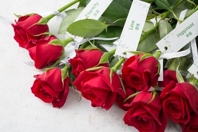 02YfbYbrtf3xoRo87T2m.jpg?w=940&h=940