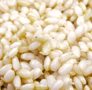 02bgs4jmKXYPMtR90hmj.png?w=940&h=940