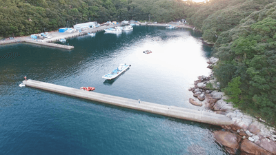 0355PamkVH0yJ5609no2.png?w=940&h=940