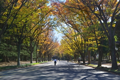 03MD3wEI4wRcqgmyMeVt.jpg?w=940&h=940