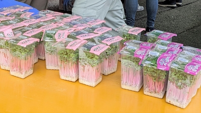 05VbvuBVt5lXG0YeR7xB.jpg?w=940&h=940