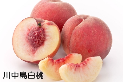 05d7JzEt9bIl1CtTVaU7.jpg?w=940&h=940