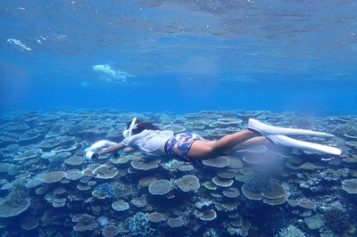 05whm7YPd9IRCwcMLRj2.jpg?w=940&h=940