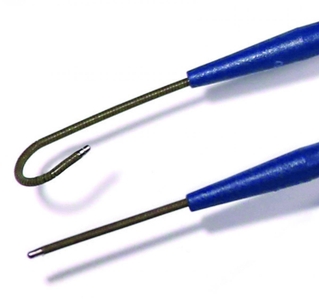 069wGoL8XCunlc6Bvroa.jpg?w=940&h=940