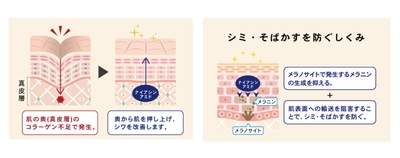 06di9rt0MoSdb8RcIrig.jpg?w=940&h=940