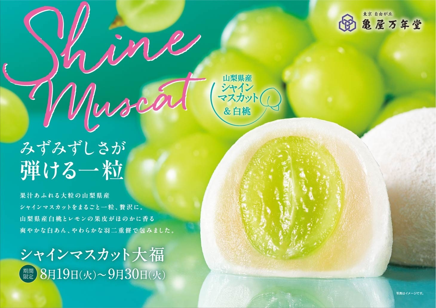 東急線ドア横ポスター