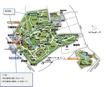 081XuV3RXGNYaADx4OPA.png?w=940&h=940