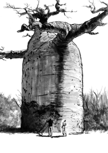 08NFceQKaXZJR4DV079x.jpg?w=940&h=940