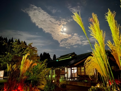 08UUQNoNZm1NX8uzve0E.jpg?w=940&h=940