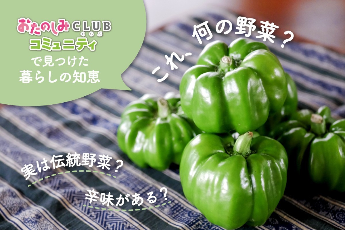 【次世代痩せ菌】アッカーマンシア「AKK PROBIO」のPMOS臨床試験結果を発表!食品開発展2026で特別セミナーも開催