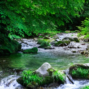 09Y2JoakGC5tVasFJgtf.jpg?w=940&h=940