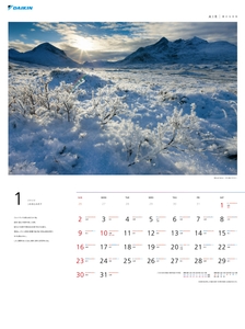 0AOf8lSSfaCxCDFw70kO.jpg?w=940&h=940