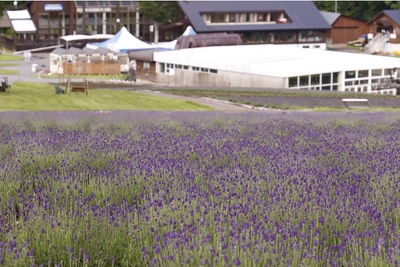 0AvyqngME2NRz1X9Mi8s.jpg?w=940&h=940