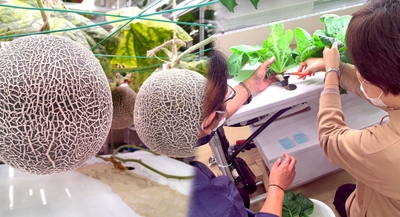 0CBJQO7TkK7ubPkonwft.jpg?w=940&h=940