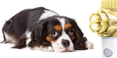 ペットの呼吸器疾患治療のお供に🐾『DELPet動物用超音波メッシュ型ネブライザー』