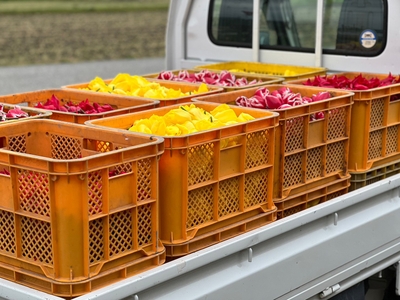 0F3r0zK0L3VVW8WSozMv.jpg?w=940&h=940