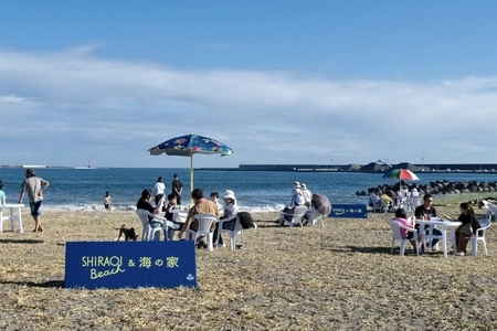 白老港「SHIRAOI BEACH と海の家」2年目開催決定、日本財団「海と日本PROJECT」採択