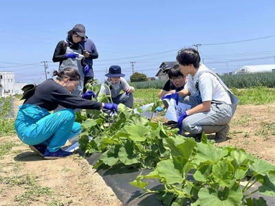 0G0bghZjj995SsIZobch.jpg?w=940&h=940