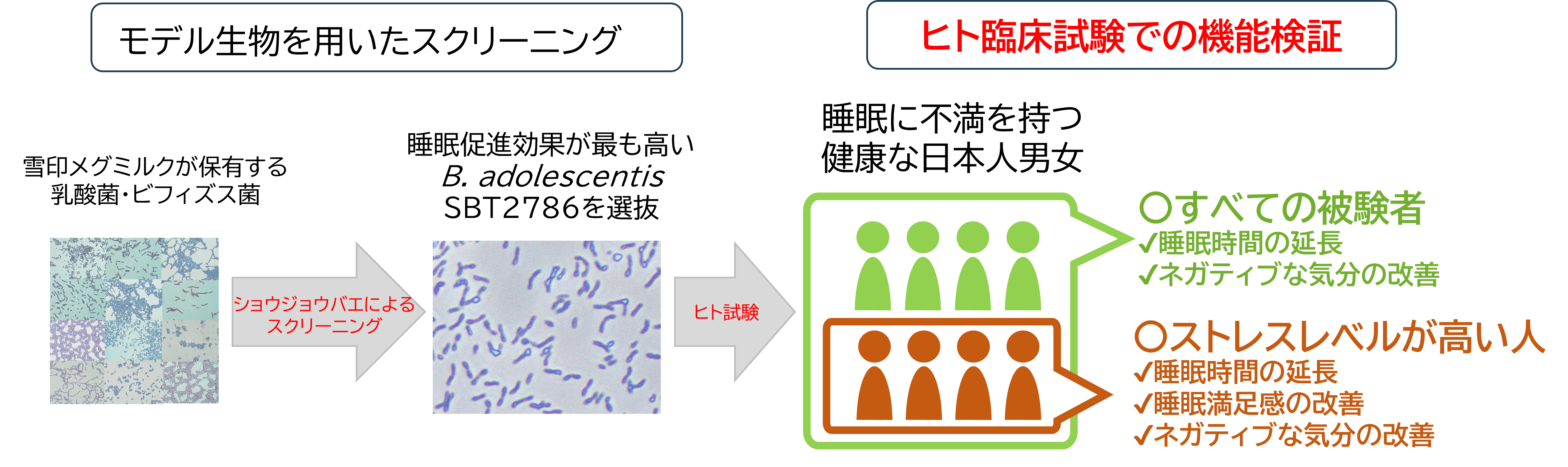 イメージ図のみ