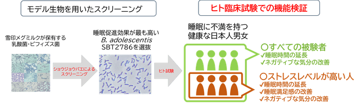 イメージ図のみ