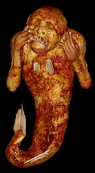 円珠院所蔵「人魚のミイラ」研究プロジェクト最終報告会のお知らせ