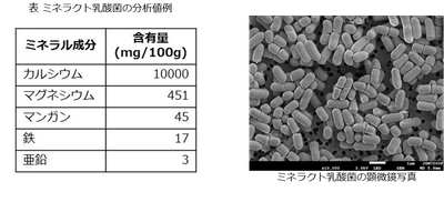 乳酸菌数、カルシウム含有量を規格化した 『ミネラクト乳酸菌』の販売を開始