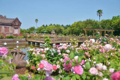 0JeAAScbiiVkQUEWTNrr.jpg?w=940&h=940