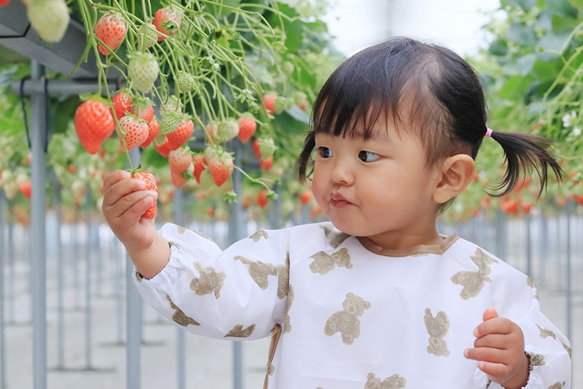 「加賀フルーツランド」へは宿から車で約20分。(写真はイメージです)