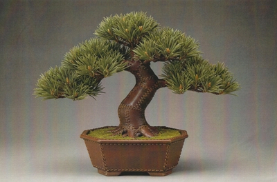 0N4aVI56O2ZsUP7lIT6o.jpg?w=940&h=940