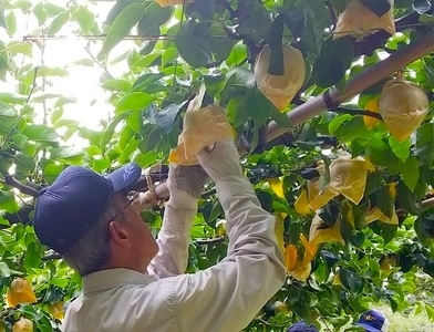 0NOhhgILdoqe9Z1OBuxa.jpg?w=940&h=940