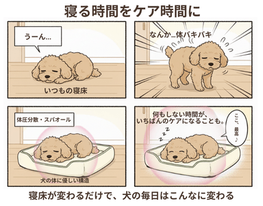 0NynsLy6zziMrNojAYiq.png?w=940&h=940