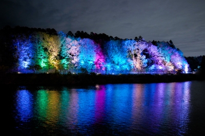 0OOPKtaFA1TKUfQegUBj.jpg?w=940&h=940