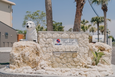 0OszBKPSbodnxANZlAL6.JPG?w=940&h=940