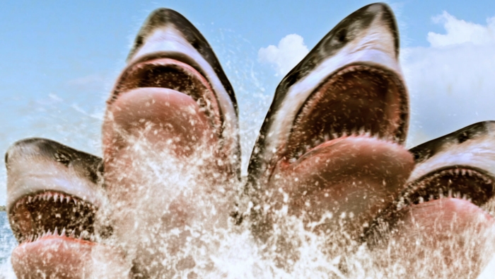 ©2017 BROKEN FILMS, LLC. All Rights Reserved.