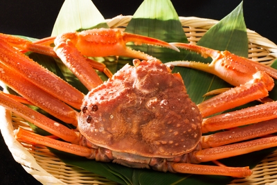 0QGtOPIS3fhs2asH58dR.jpg?w=940&h=940