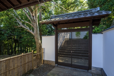 0QgSNRYPb0bQ1218BiqQ.jpg?w=940&h=940