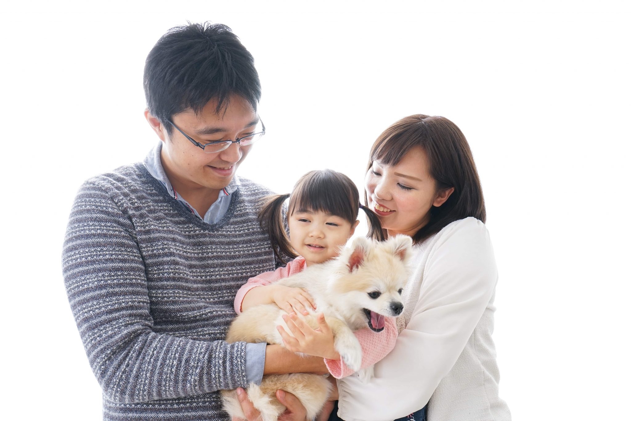 しつけ教室に通わせるメリットについて紹介していきます!